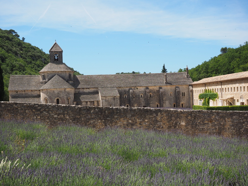 french, purple, violet, summer flowers, green, lavandula angustifolia, summer, cistercian monks, fragrant, outdoors, building exterior, herbs, the past
