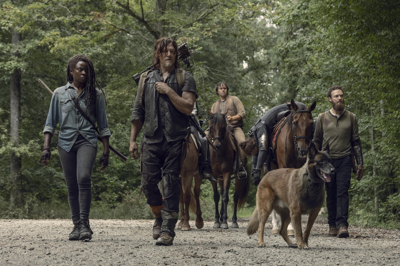 Eugene Porter, Ross Marquand, The Walking Dead, Daryl Dixon, Michonne (The Walking Dead), Aaron (The Walking Dead), Josh McDermitt, Danai Gurira, 4K, TV Show