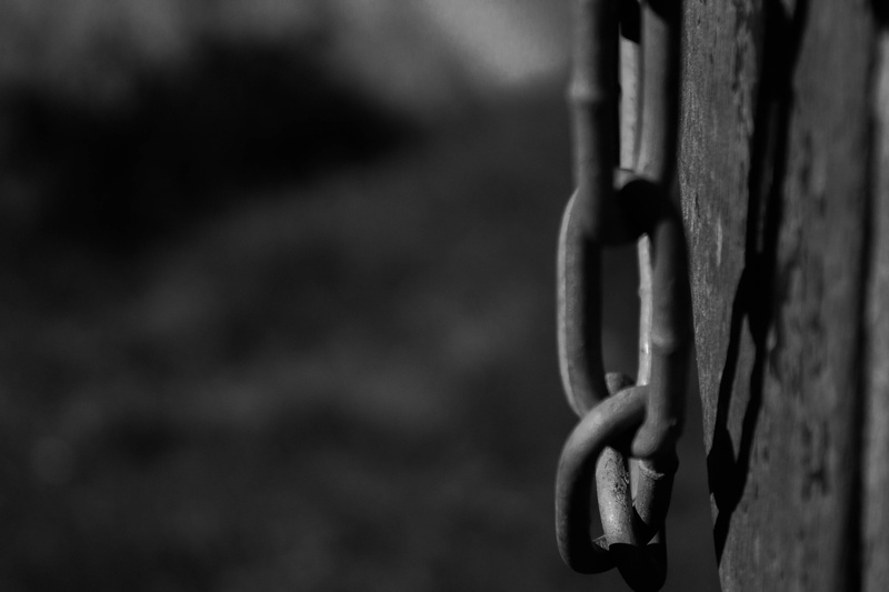 live, outdoors, reflection, life, detail, shadows, protection, tied up, bandw, wild, iron - metal, safety, never let go, chains, still life, shadow, together