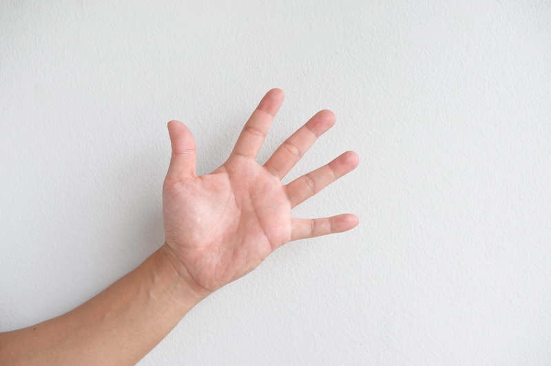 one person, human, left, the palm of your hand, human hand, human limb, hand sign, indoors, palm, adult, communication, success, finger, hand, white background