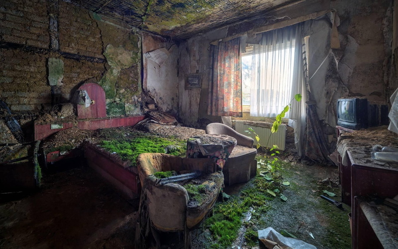 bedroom, nature, abandoned, ruins, nature and landscapes, letting, 1080P, moss, back