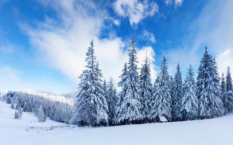 quality, 1080P, mountain, winter, trees, picture, high