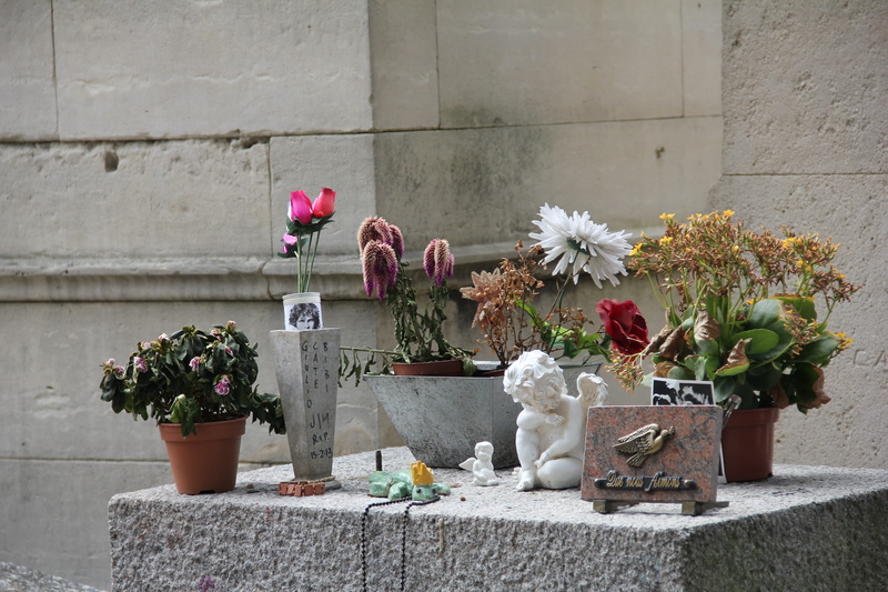 flowering plant, day, fragility, flower, nature, plant, vulnerability, wall - building feature, Jim Morrison, sculpture, flower pot, potted plant, beauty in nature