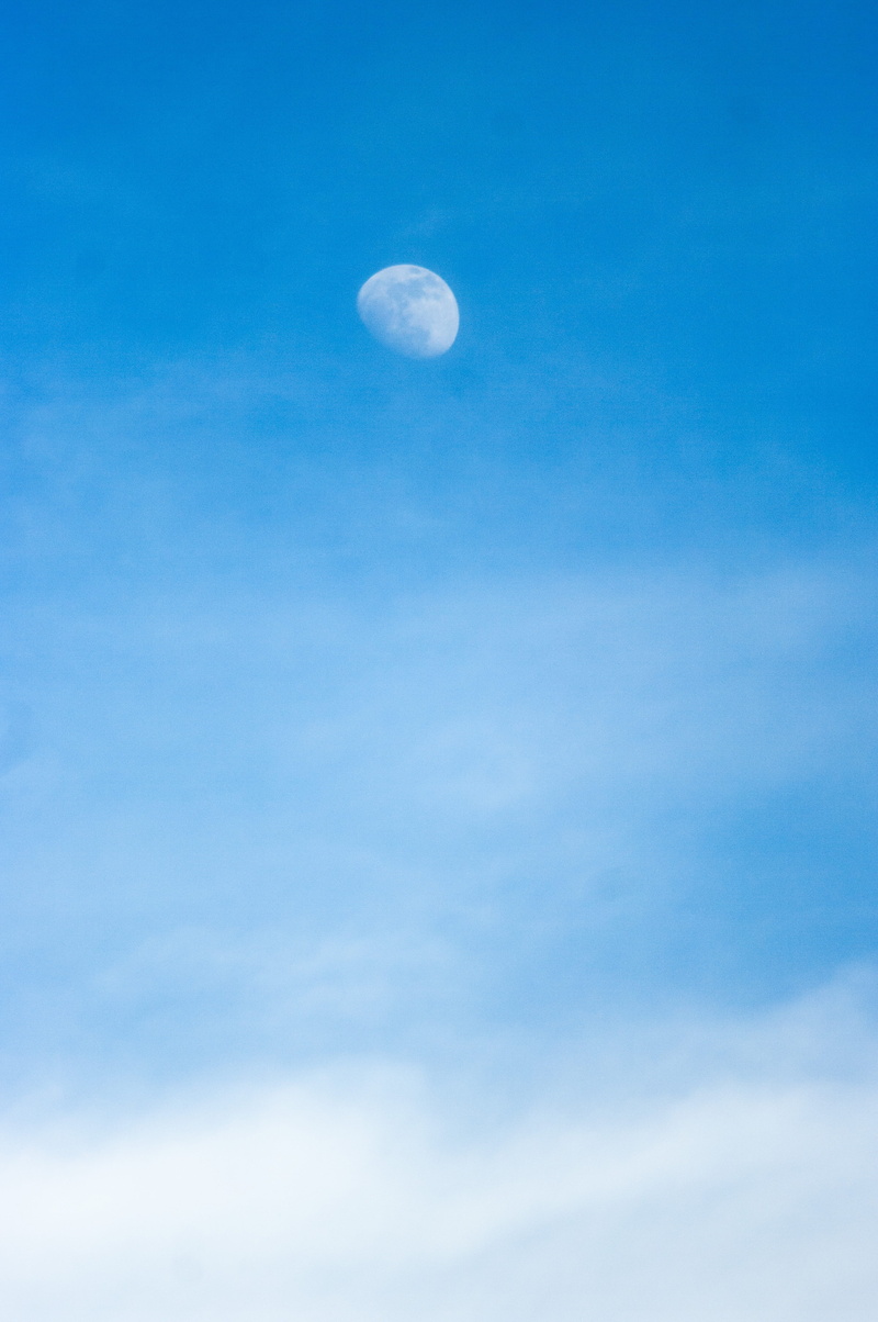 space exploration, Moon, half moon, scenics - nature, nature, space, clear, astronomy, space and astronomy, day, cloud - Sky, stratosphere, blue, sky, cloudy sky