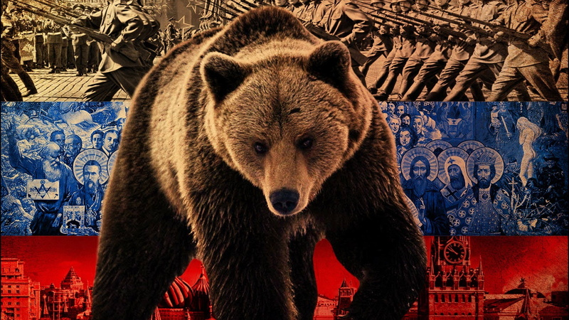 animal wildlife, animal body part, one animal, vertebrate, bear, illustration, outdoors, animals in the wild, portrait, brown, day, no people, looking at camera