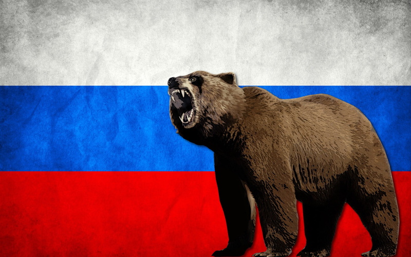 patriotism, Russian, standing, vertebrate, domestic animals, flag, wall - building feature, bear, blue, bears, no people, mammal, looking away, animal wildlife