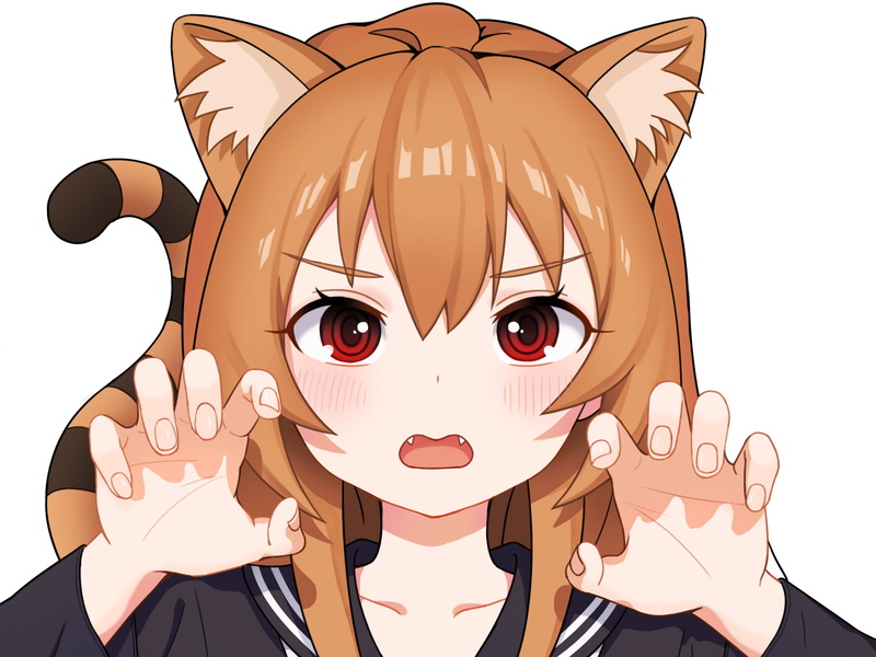 1080P, Toradora!, Anime, Taiga Aisaka