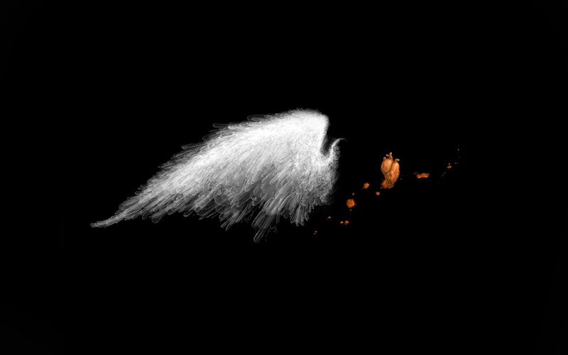 white, black background, cut out, smoke - physical structure, minimalism, 1080P, copy space, still life, softness, wings, close-up, spark, motion, white color