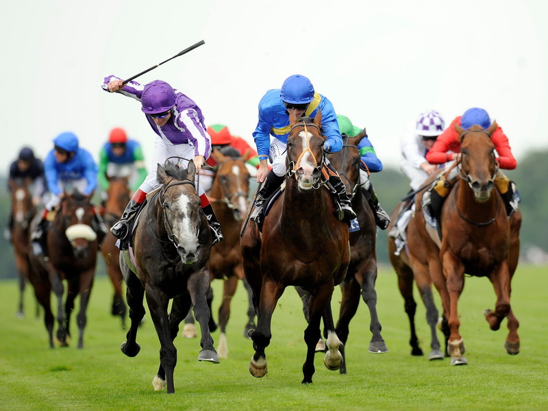 720P, hd, sports, racing, horse