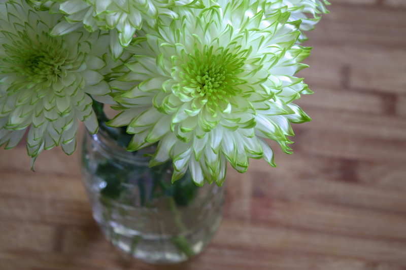 flower head, flower arrangement, home, container, nature, decoration, green color, sunlight, inflorescence, luxury home interior, fragility, table, house