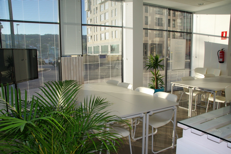architecture, indoors, office, office interior, window, plant, absence, modern, meeting room, sunlight, sunny, rectangular, modern office interior, decoration