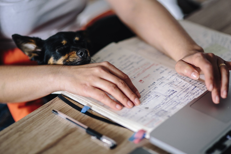 working, female, girl, midsection, pets, adult, men, technology, Woman, holding, hands, mammal, human body part, cute, book, workspace, caucasian Ethnicity