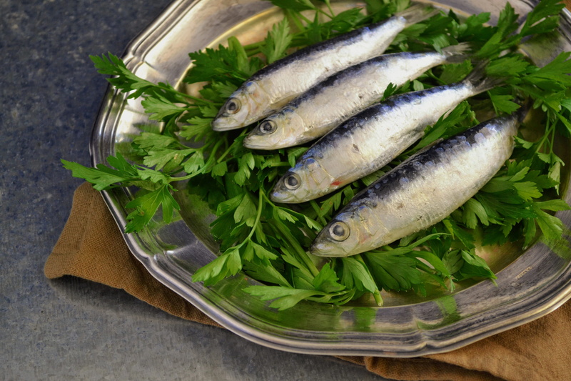 vegetable, Fish, vertebrate, animal, marine, raw food, food, Parsley, indoors, plated, freshness, whole, plated food, herb, plate, tray, studio shot, metallic plate