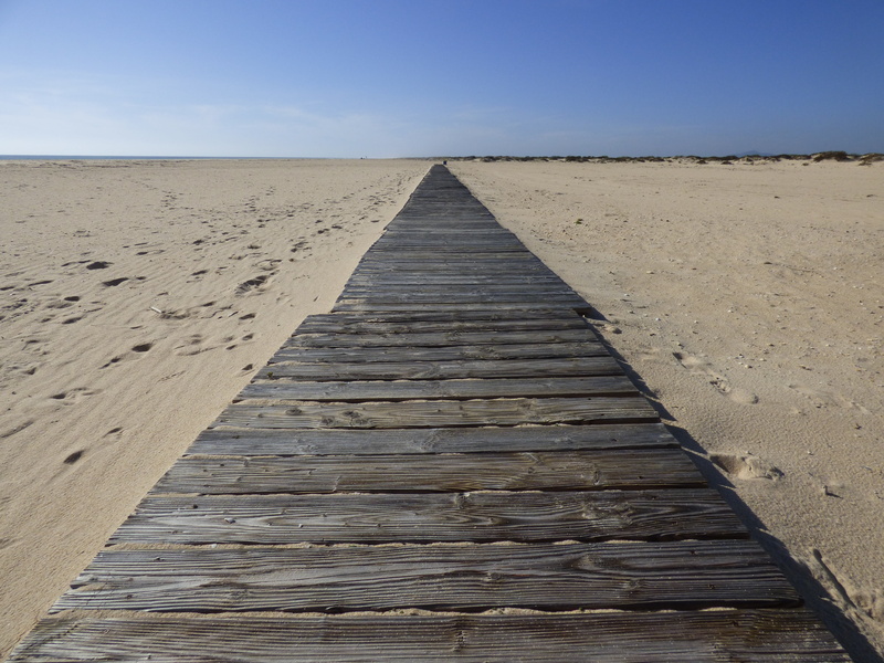 climate, diminishing perspective, walk, wooden, beach, arid climate, brown, vanishing point, desert, landscape, scenics - nature, tranquil scene, wood