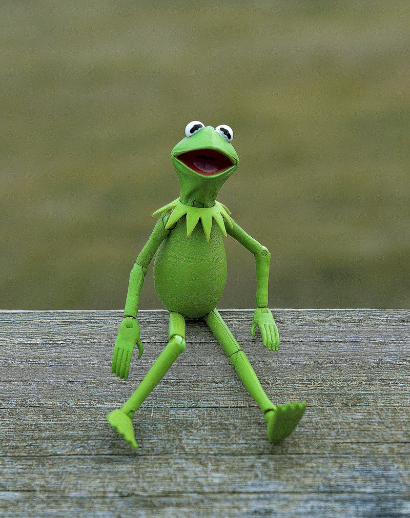 Amphibian, green Color, creativity, human representation, action figure, toy, sitting, happy, day, smiling, focus on foreground, male likeness, green, wood - material