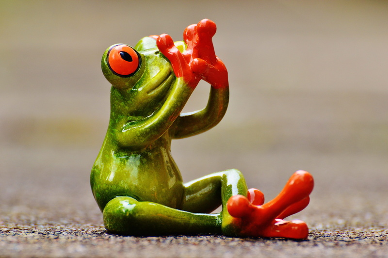 wildlife, freshness, tree Frog, red bell pepper, sit, close-up, do not speak, Frog, green, 5K, no people, pavement, figurine, focus on foreground, vegetable