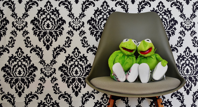 for two, funny, kermit, creativity, green color, table, rest, plate, vegetable, black, floral pattern, chair, toys, 4K, pattern, bench, red