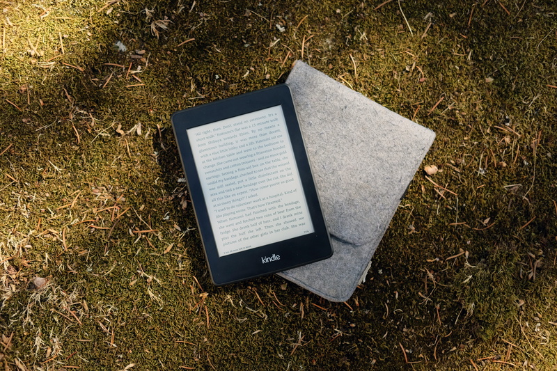 e, moss, day, case, norwegian wood, kindle, computer, music, nature, book, cover, plant, technology, flip, word, text, grass, wireless technology, connection