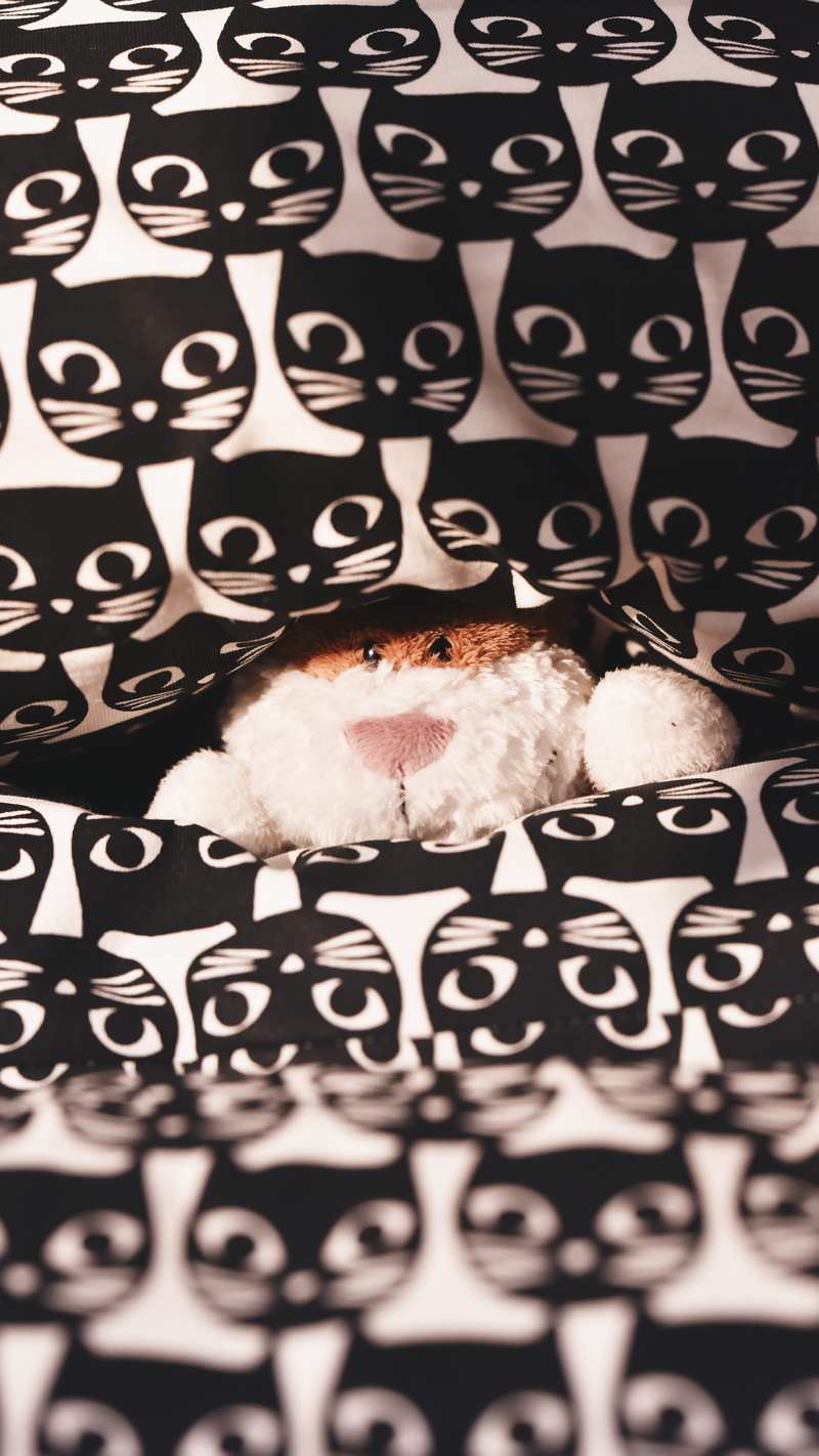 meal, human representation, pastry, indoors, confectionery, front view, donut, food, dessert, bakery, text, western script, icing, ice cream, dish, domestic animals