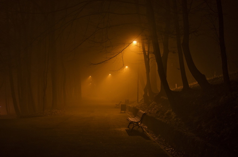 fog, illuminated, plant, 720P, bench, tree, tranquility, transportation, beauty in nature, bare tree, scenics - nature, tree trunk, forest, branch, woodland