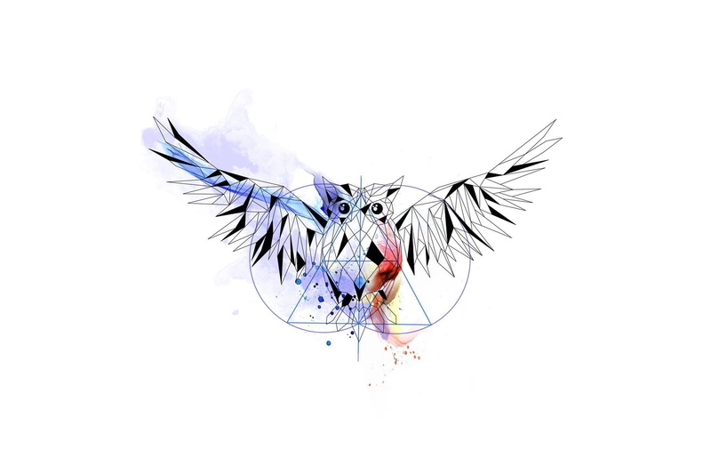 1080P, no people, owl, copy space, purple, vector, indoors, art, gray, nature, art and craft, studio shot, close-up, cut out, animals in the wild, animal wing