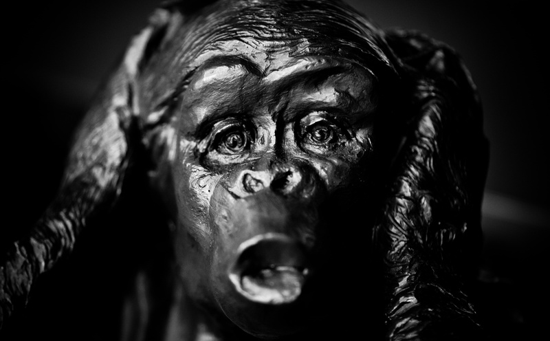 craft, figurine, indoors, nothing, male likeness, Monkey, hear, Artistic, creativity, Sculpture, human representation, doesn, looking at camera, t, no people