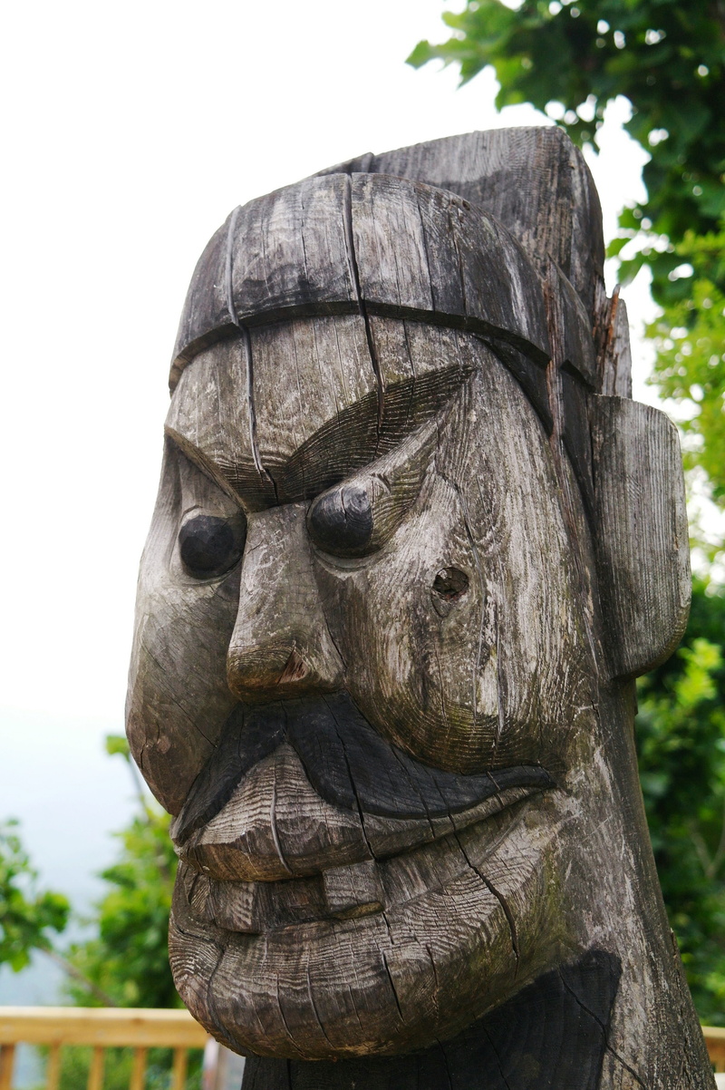 craft, sculpture, flower tree, Folk, korea, wood - material, hanok, texture, abstract, male likeness, close-up, hut, weathered, idol, plant, statue, blue
