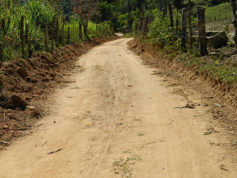 tree, growth, long, green color, tranquility, dirt, land, direction, road, footpath, nothing, no people, dirt road, transportation, tranquil scene, day