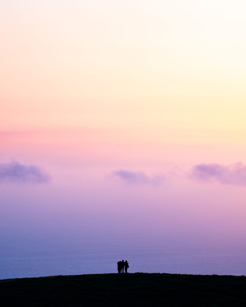 horizon, photography, cloud - sky, three, outdoors, silhouette, livestock, animal themes, animal wildlife, cloud, purple, domestic, scenics - nature, people