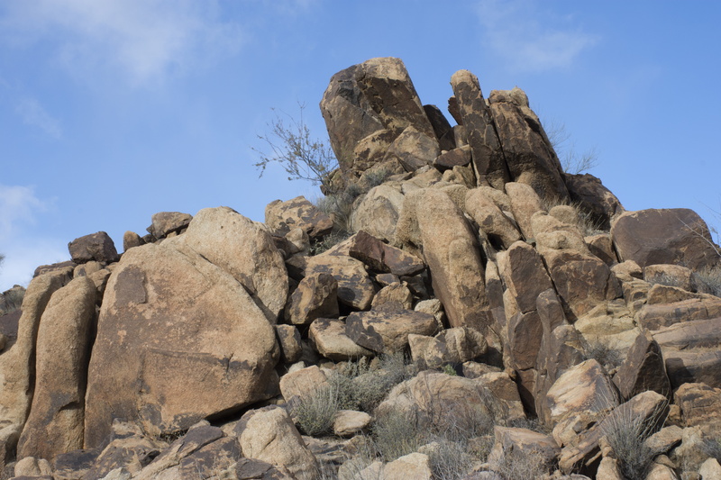 rock, boulders, arizona, travel destinations, rock formation, 5K, desert, sky, rock - object, animal, solid, animal themes, land, the past, landscape