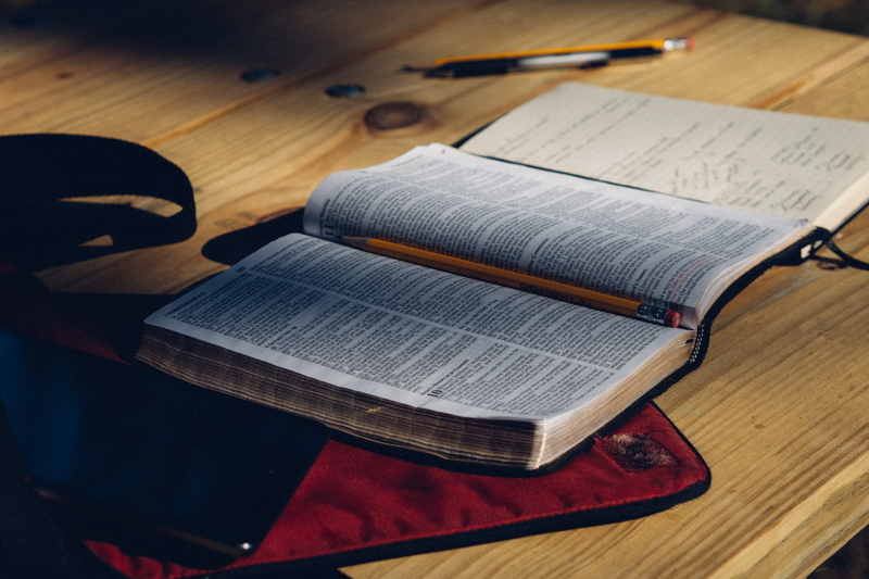 plywood, page, diary, table, book, nearby, wood - material, paper, sitting, high angle view, textile, text, indoors, publication, still life, education