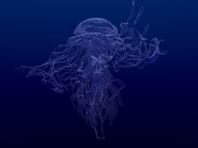 animal, 480P, animals in the wild, nature, undersea, s, studio shot, jellyfish, sea, animal wildlife, hair, water, black background, underwater, women