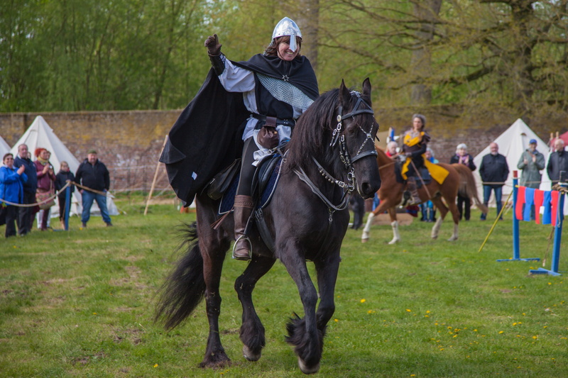 herbivorous, domestic, historically, nature, field, competition, men, black, equestrian games, mammal, activity, horsewoman, riding, middle ages, outdoors