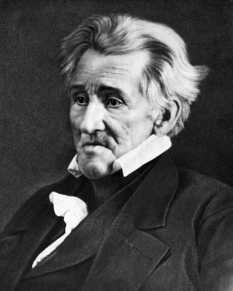men, people, adult, time, 4K, Andrew Jackson, mature adult, individuality, drawing, studio shot, aggression, concepts And Ideas, mature men, public domain
