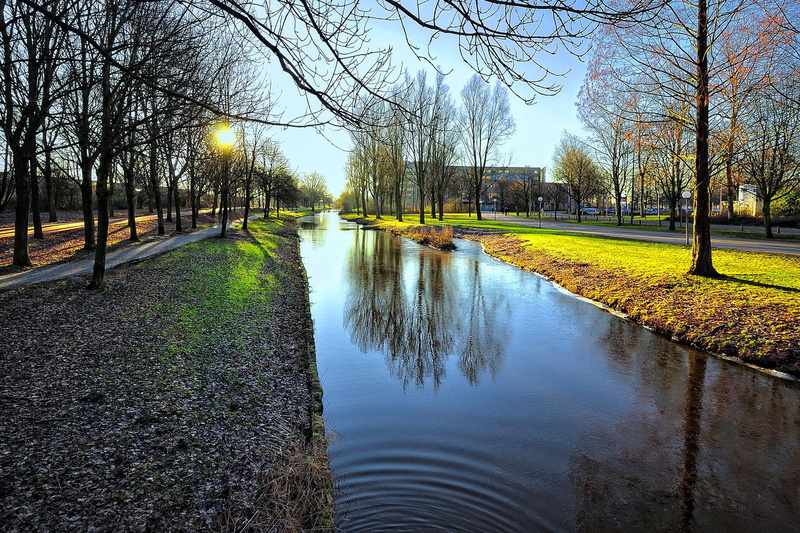 Netherlands, 1080P, city, trees, sunset, river, houses, canal, nederland, reflection, Amsterdam, sun