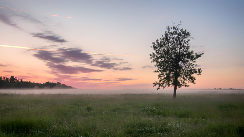mist, 5K, beautiful, destination, sunset, person, outdoor, tree, grass, scenic, tourism, wilderness, landscape, sunlight, nobody, summer, plants, natural