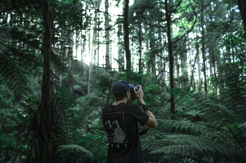 leaf, woods, taking, photo, holding, woodland, backpack, green, real people, dslr, daytime, camera, using, leisure activity, person, green color, activity