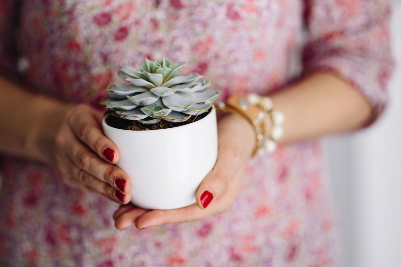 adults only, hands, people, Succulent, pattern, cup, nail, miscellaneous, floral pattern, one woman only, items, females, ring, pink color, jewelry, lifestyles