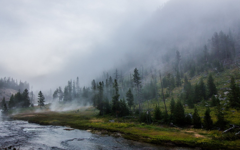 mist, yellowstone national park, landscape, park, 1080P, mountains, national, river, nature, yellowstone, forest