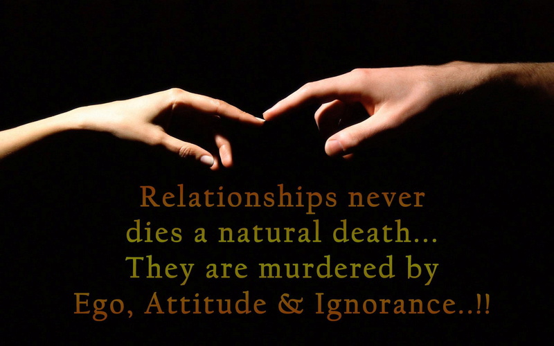 beautiful, background, thoughts, photo, quotes, wide, relationship, 1080P, high, definition