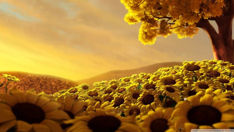 pollen, flower head, trees, scenics - nature, yellow, sunflower, flowering plant, garden, vulnerability, freshness, flowers, beauty in nature, sunflowers