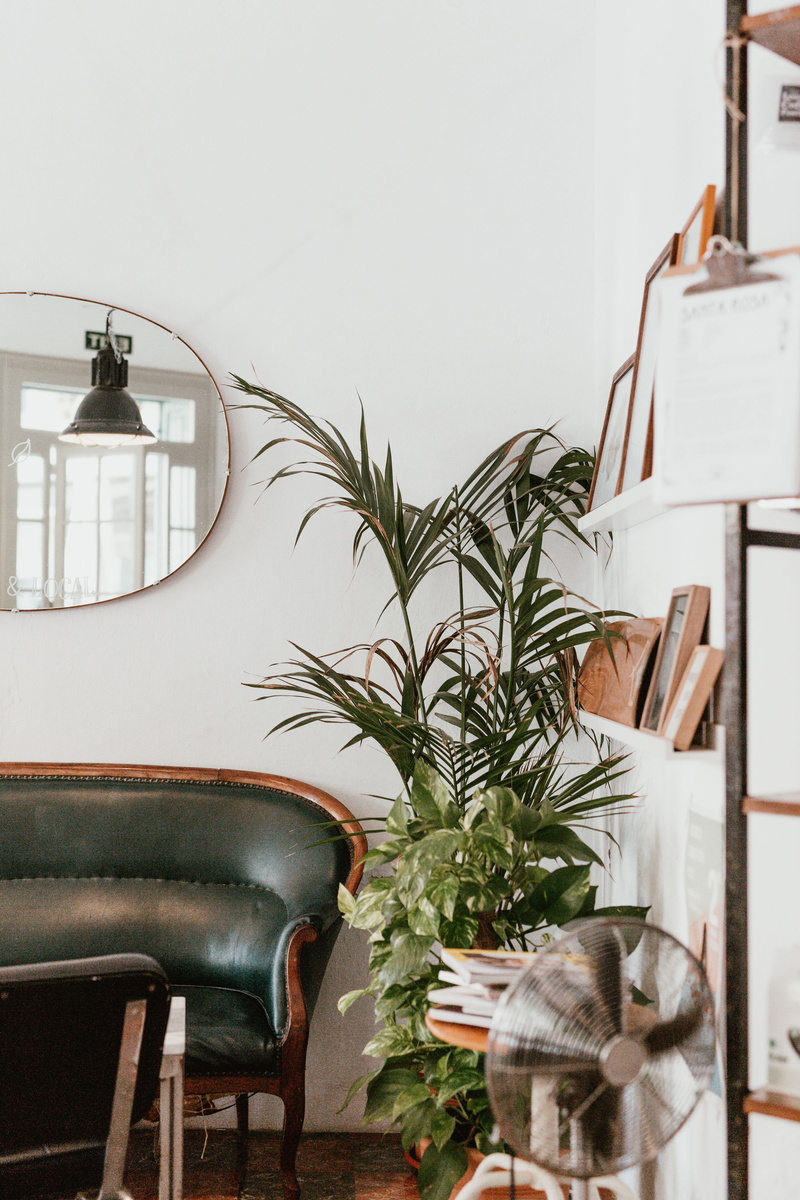 plants, minimalism, interior, electric Lamp, wood - Material, furniture, remote, modern, green, interiordesign, decor, home Interior, table, 5K, indoors