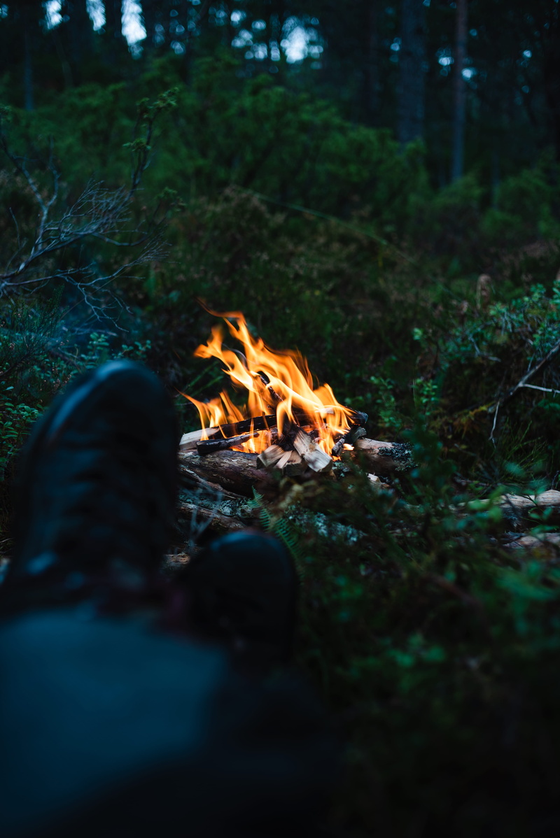 adventure, nordic, woodland, heat - temperature, wood - material, firewood, selective focus, tree, camping, slow living, log, plant, fire - natural phenomenon
