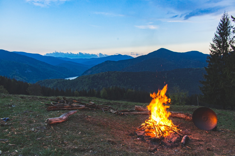wood, field, coniferous tree, flame, mountain, light, forest, fall, plant, camp, campfire, bonfire, scenics - nature, camping, no people, outdoors, dawn