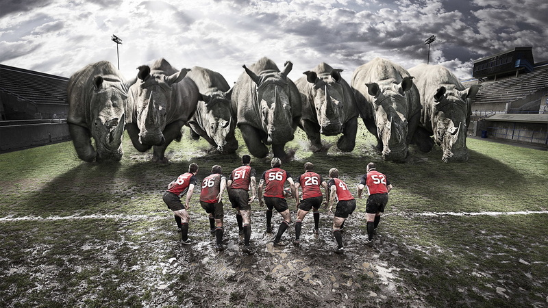 athlete, cloud - sky, running, sports Track, mammal, team, rugby, sculpture, championship, dirt, sports Race, group of animals, field, 1080P, equestrian Event