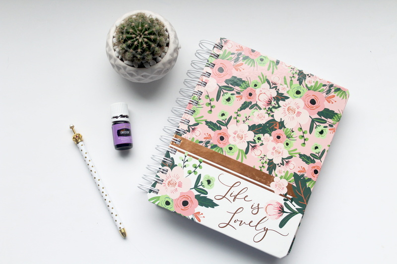 notebook, flatlay, pink, table, essential oil, envision, high angle view, writing, looking down, blogging, 5K, writer, spiral, cactus, young loving, panel