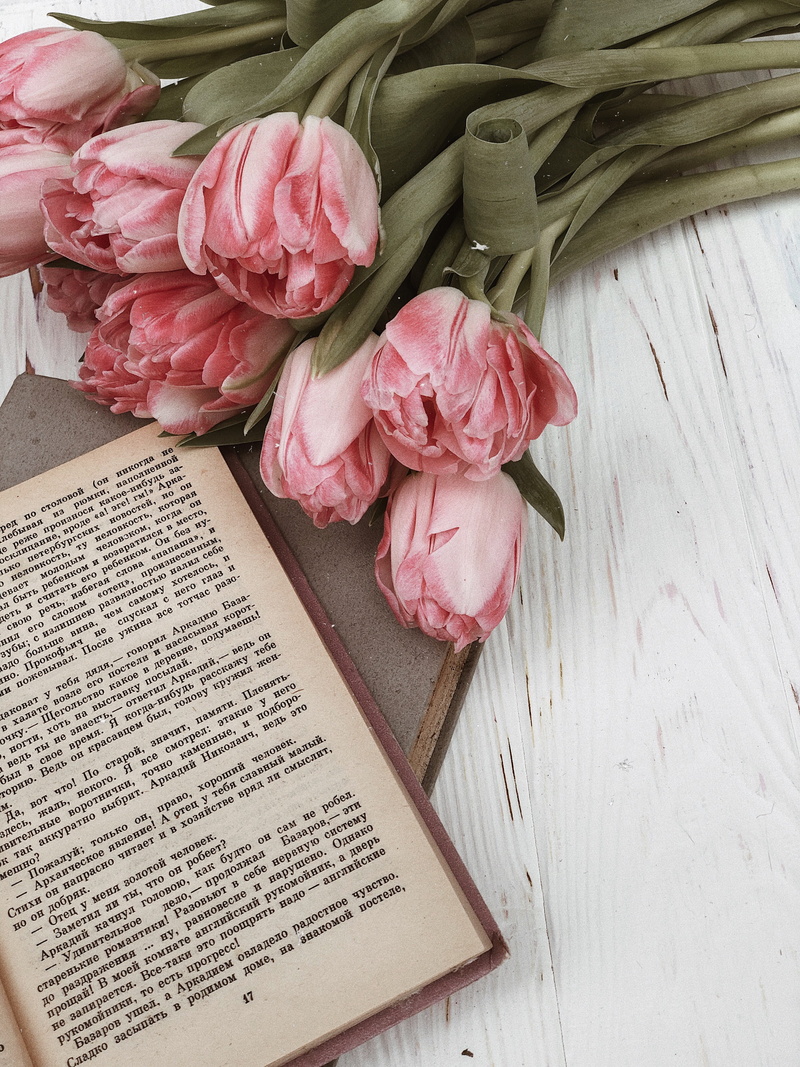 freshness, rose, close-up, garlic, flowers, text, pink, petal, publication, finger, page, root, table, indoors, still life, flower arrangement, 4K, beauty in nature