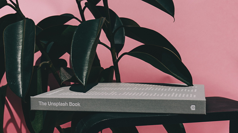 day, leaves, blossom, metal, nature, vegetation, text, shelf, leaf, indoors, 5K, unsplash, built structure, stem, still life, pink, close-up, no people