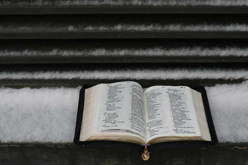 open, religious equipment, no people, jar, 5K, novel, religion, library, pottery, snow, education, plant, planter, paper, page, herbs, belief, word, crypt