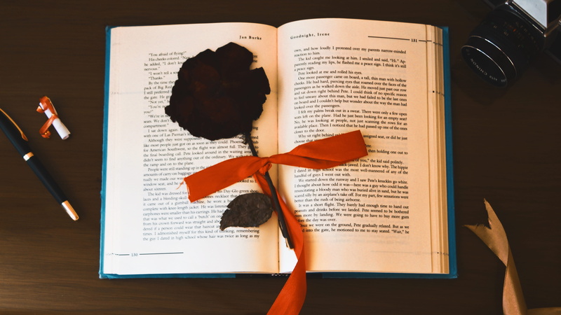 flower, reading, text, no people, pen, paper, scroll, indoors, love, animal, old, creativity, high angle view, holding, worship, education, novel, present